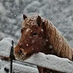 בית הארחה Oberegghof 4*