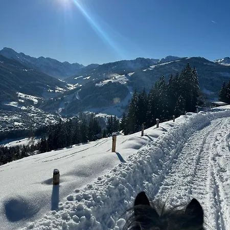 Oberegghof Gasthuis 4*